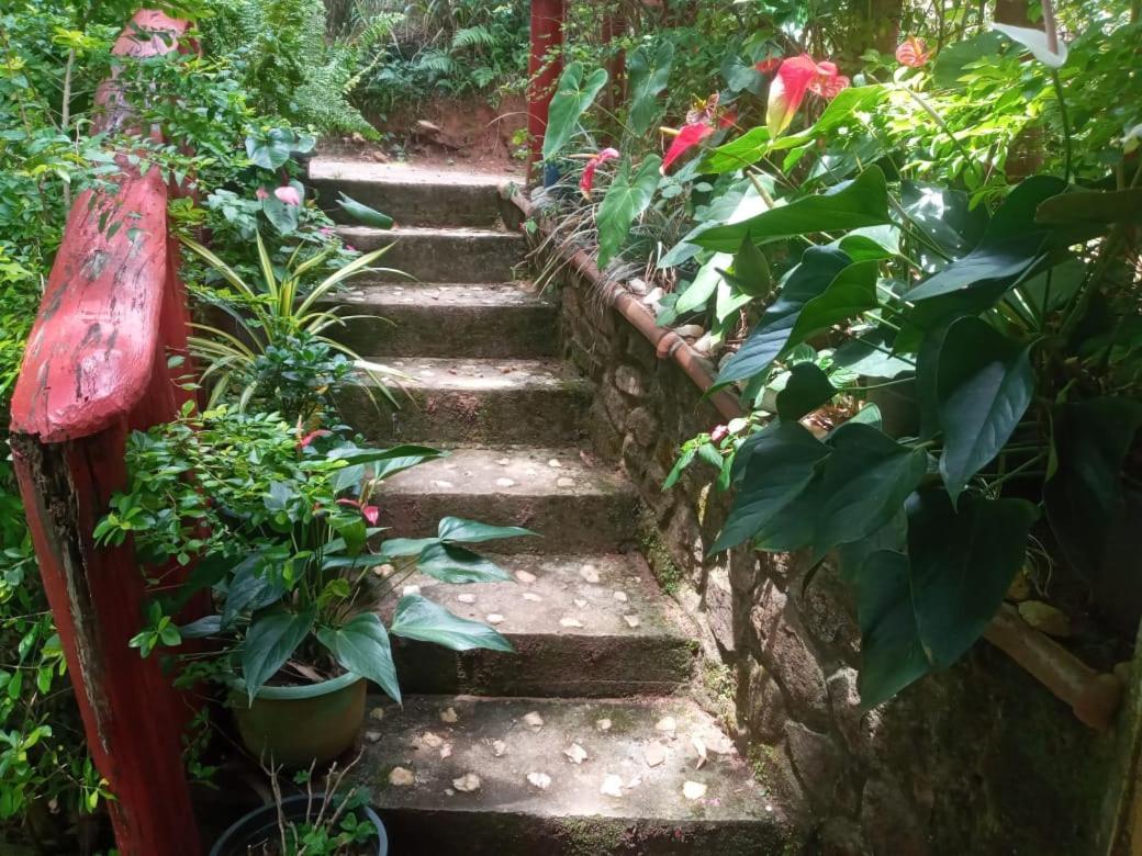 Nethsara Cottage 엘라 외부 사진